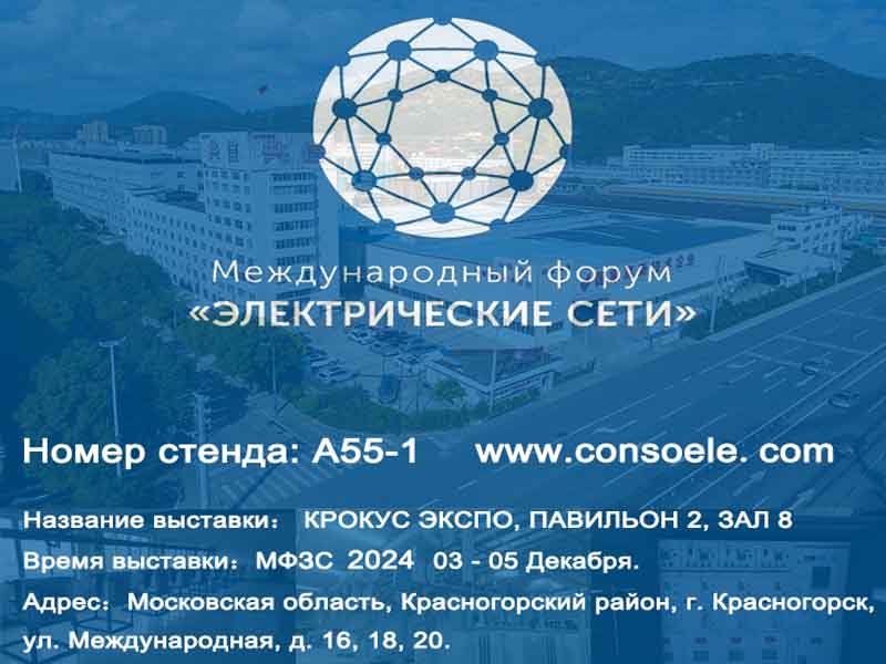 Conso Electrical vil delta Electrical Networks of Russia 2024 i CROCUS EXPO